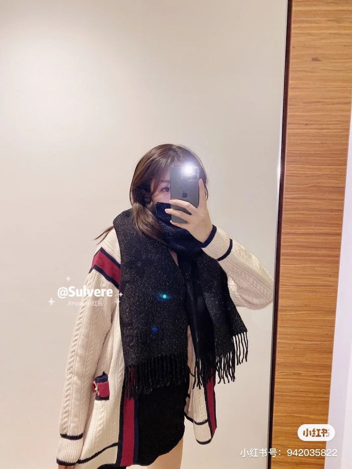 Louis Vuitton Scarf LV00142